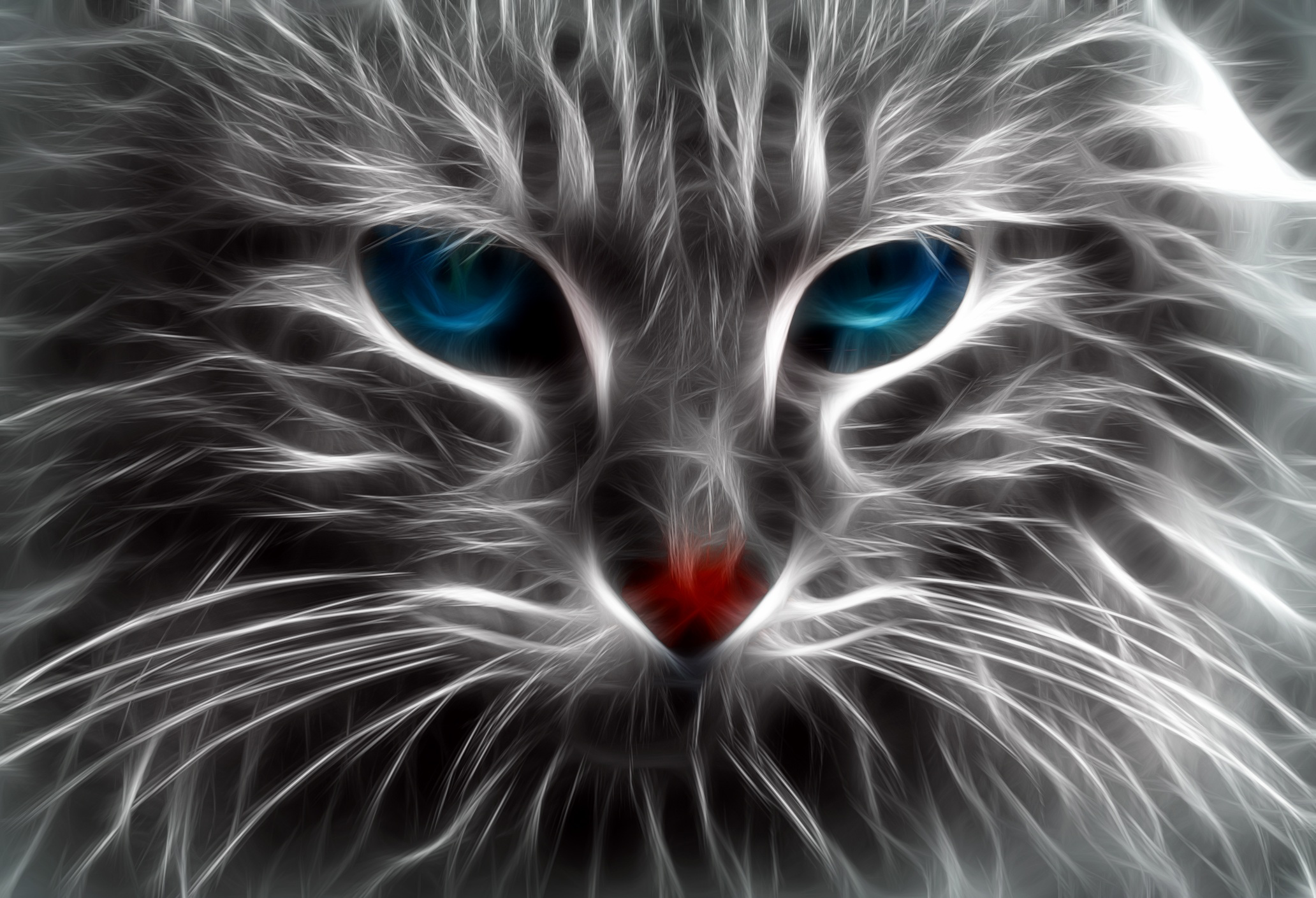 Cute Cats Wallpapers in HD & 4K for Mobile and Desktop