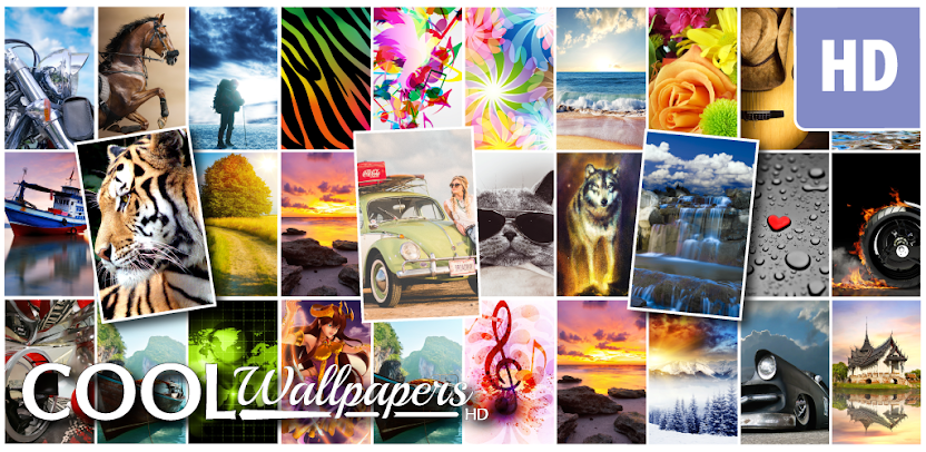 Download Cool Wallpapers HD & 4K for Mobile and Desktop (Free)